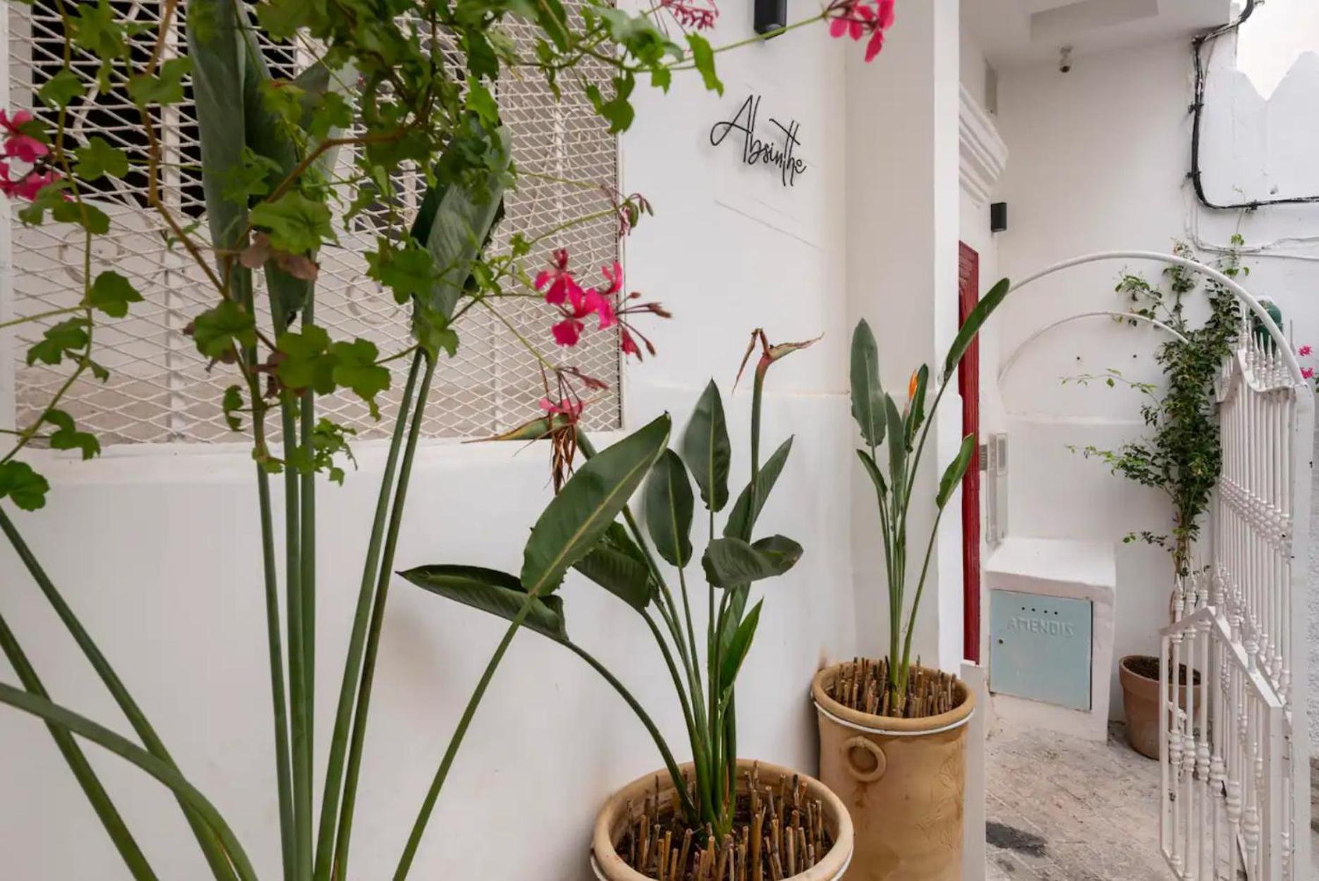 Absinthe Guest House Tangier Exterior photo